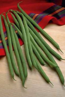 BEAN 'Jade'