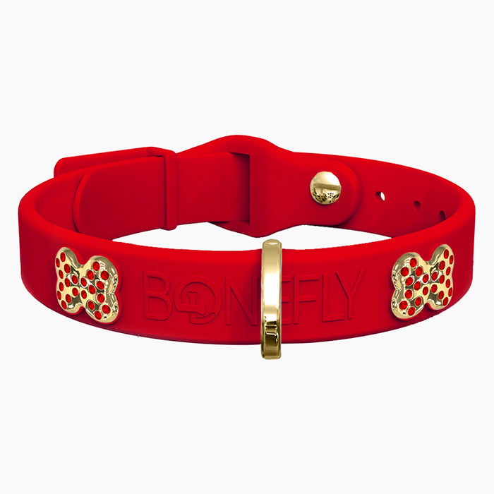 Gold/Red / XS