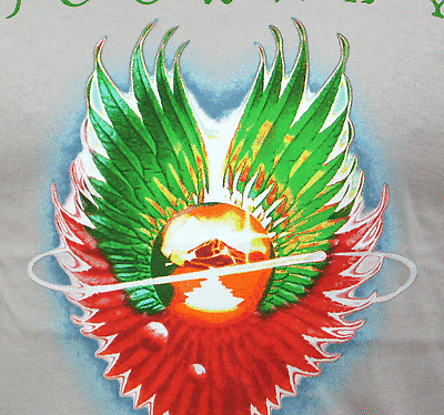 JOURNEY (Evolution) Men's T-Shirt