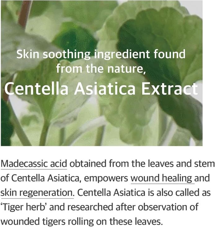 Mixsoon Heartleaf Essence 100ml / 3.38 fl oz