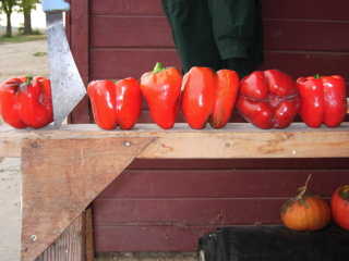 PEPPER 'Peacework Sweet'