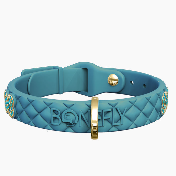 Gold/Aqua / XS