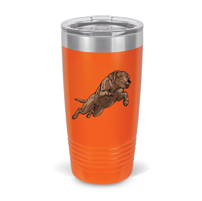 Chocolate Lab / Blaze Orange