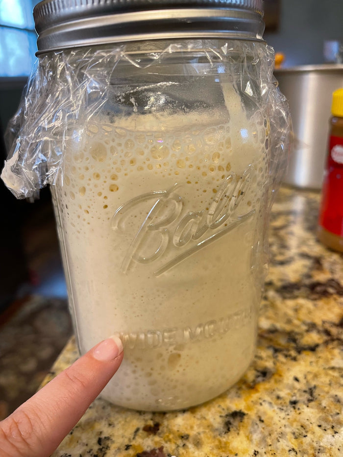 Sourdough starter bundle, sourdough starter kit, sourdough starter, homesteading kits, sourdough for beginners