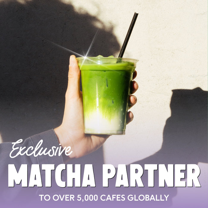 Blueberry Matcha Powder - PerfectTed - Matcha Powder