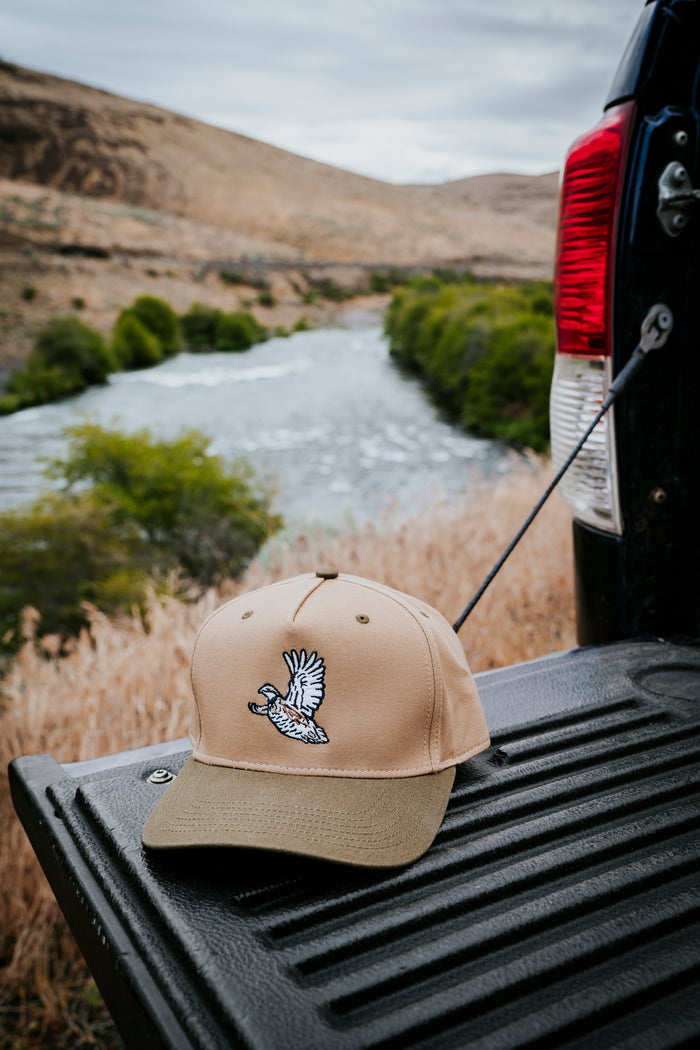 Bobwhite Quail Hat