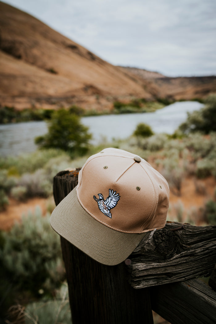 Bobwhite Quail Hat