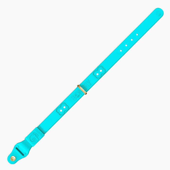 Teal / XS