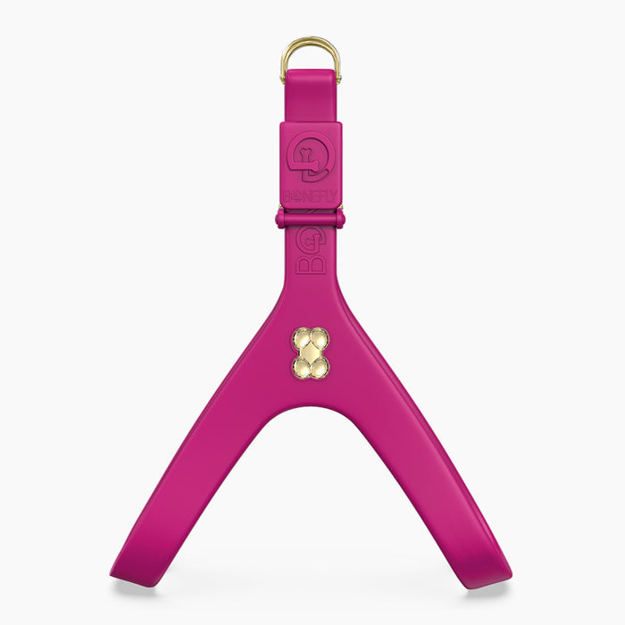 Boneflex Harness Berry Gold Bones