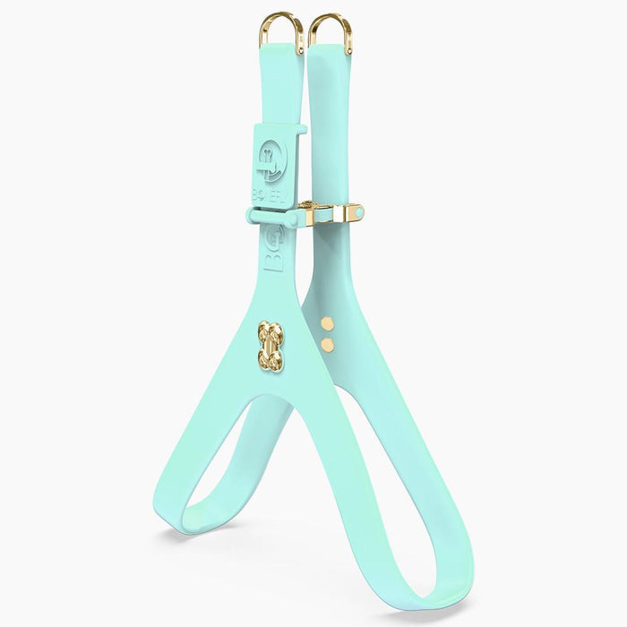 Boneflex Harness Mint Gold Bones