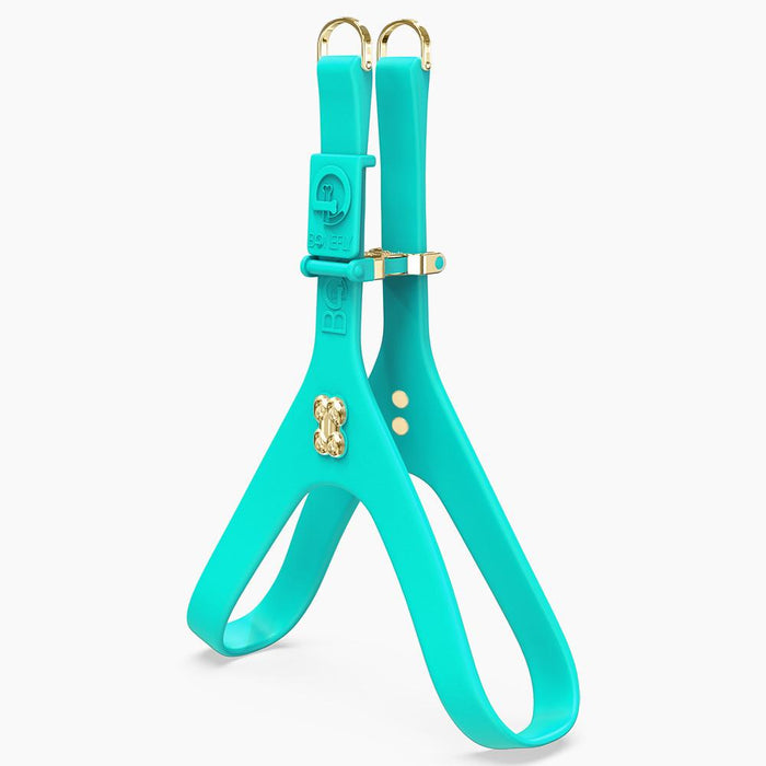 Boneflex Harness Teal Gold Bones