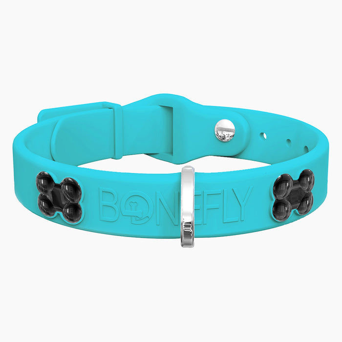 Teal / XS