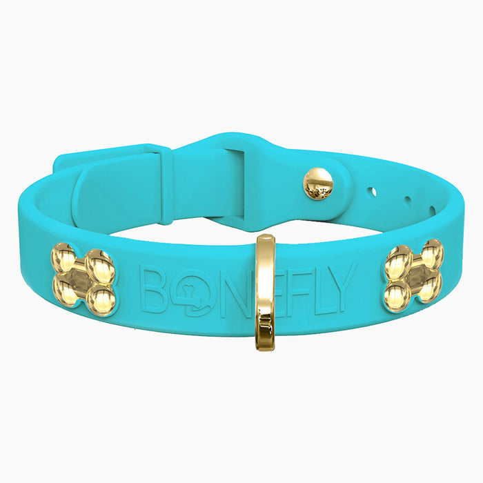 Teal / XS