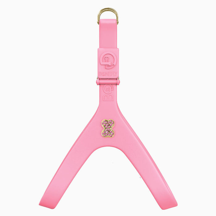Gold/Pink / XXS