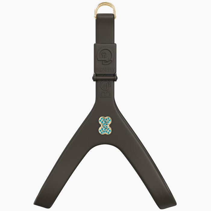 Gold/Aqua / XXS