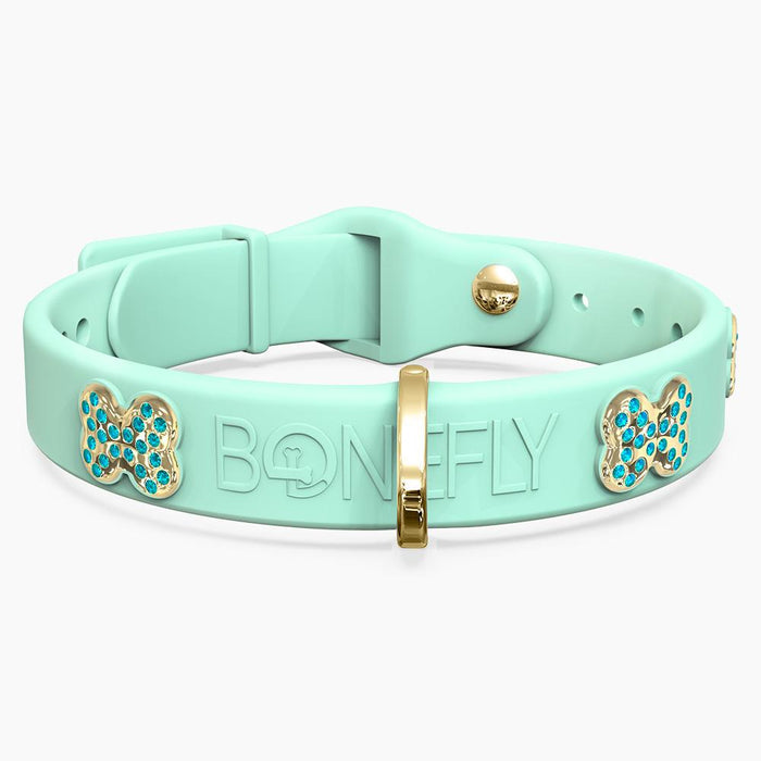 Gold Aqua / XS