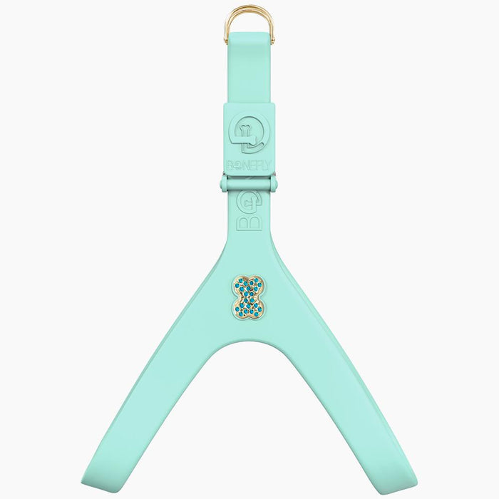 Gold/Aqua / XXS