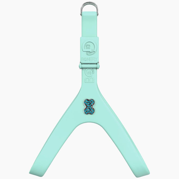 Black/Aqua / XXS