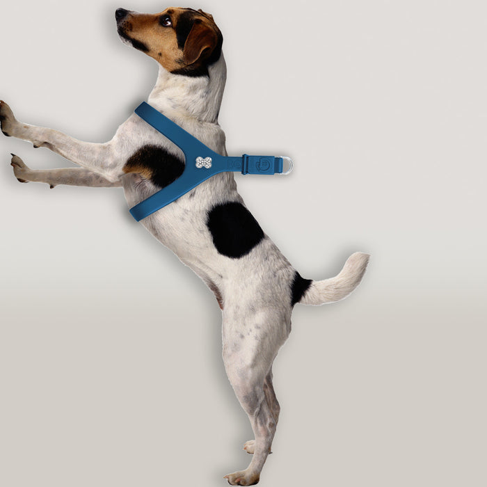 Boneflex Ultra Peacock Harness