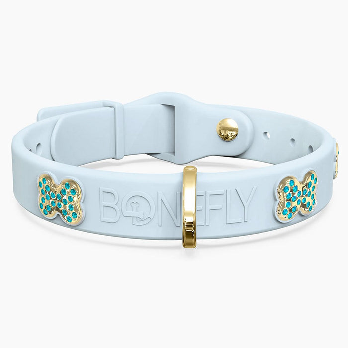 Gold Aqua / XS
