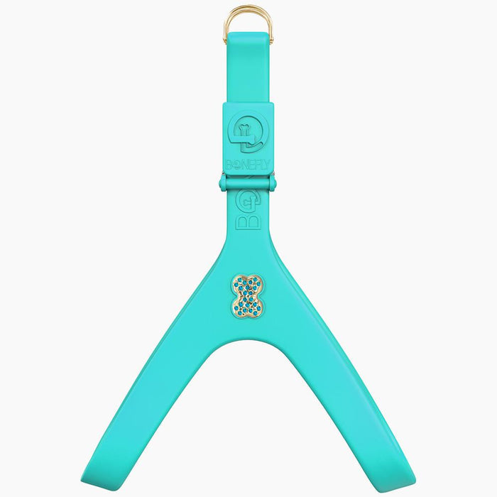 Gold/Aqua / XXS