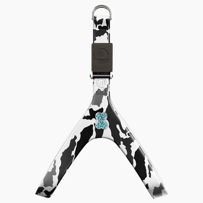 XXS / Silver/Aqua