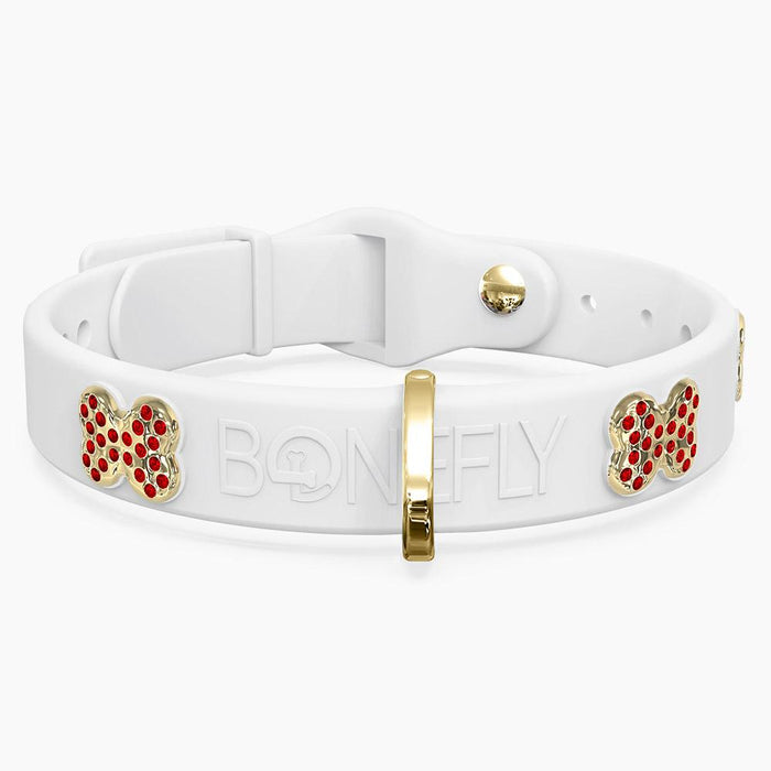 Gold/Red / XS