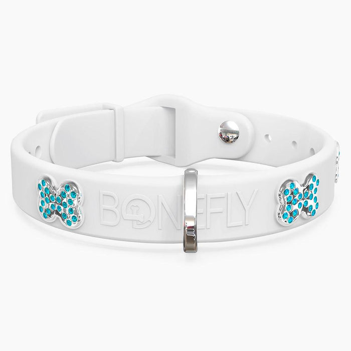 Silver/Aqua / XS