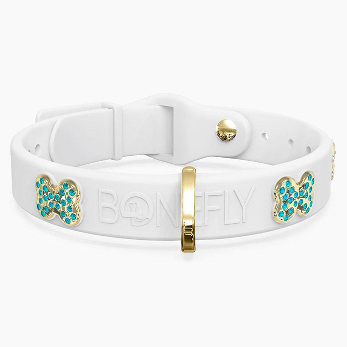 Gold/Aqua / XS