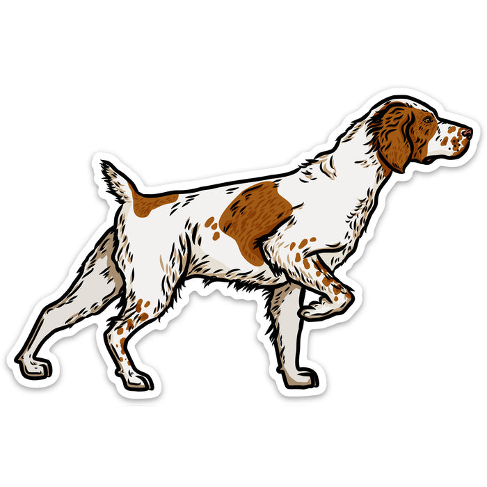 |Orange White Brittany