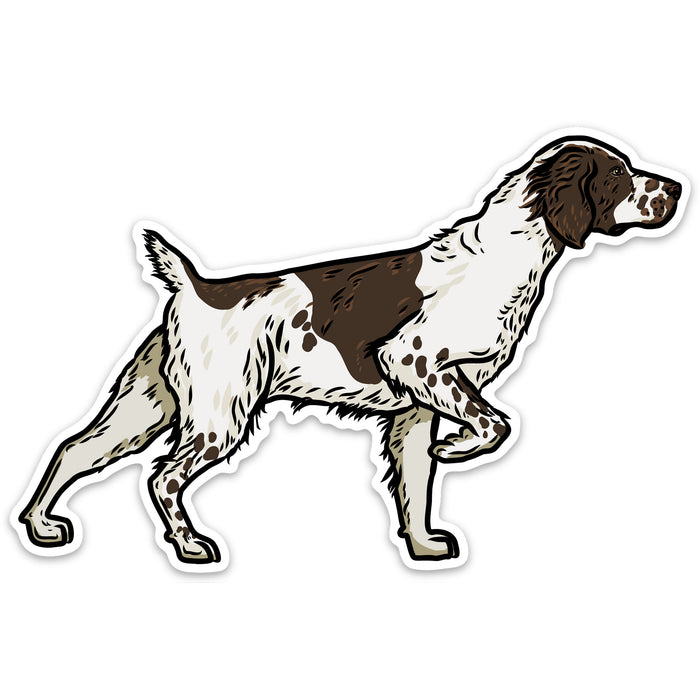 |Liver White Brittany