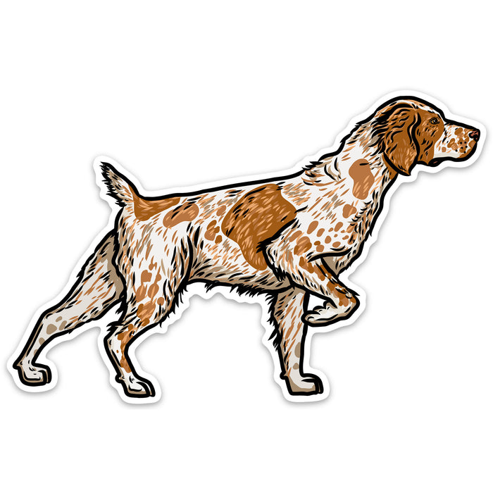 |Orange Roan Brittany