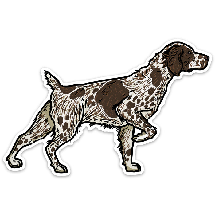 |Liver Roan Brittany
