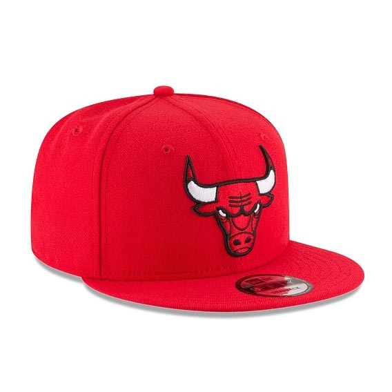 Chicago Bulls Team Color 9FIFTY Snapback Adjustable Cap