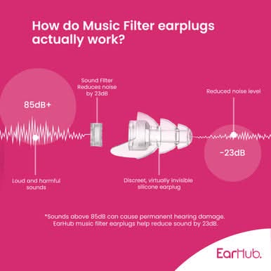 EarHub Music Filter Earplugs With Keychain Case