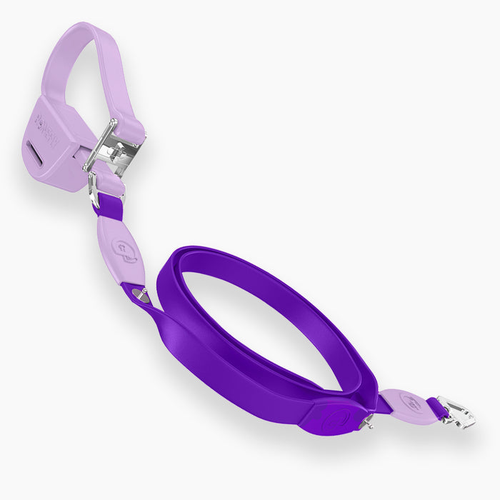 Purple / Silver