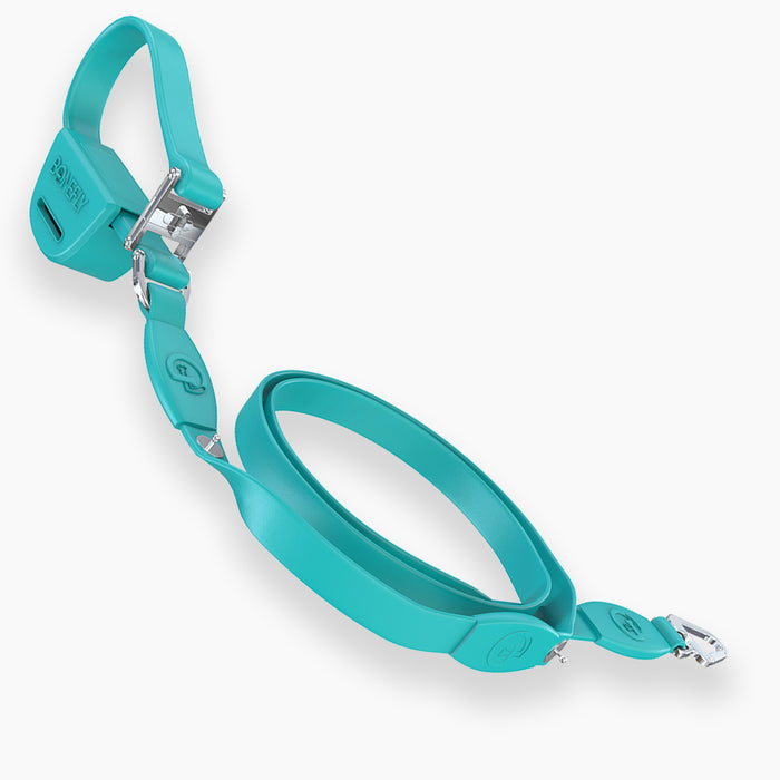 Teal / Silver