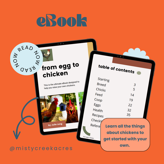 From Egg to Chicken, Raising Chickens eBook, Raising chickens guide, Guide on having chickens, Homesteading eBook, Chickens eBook