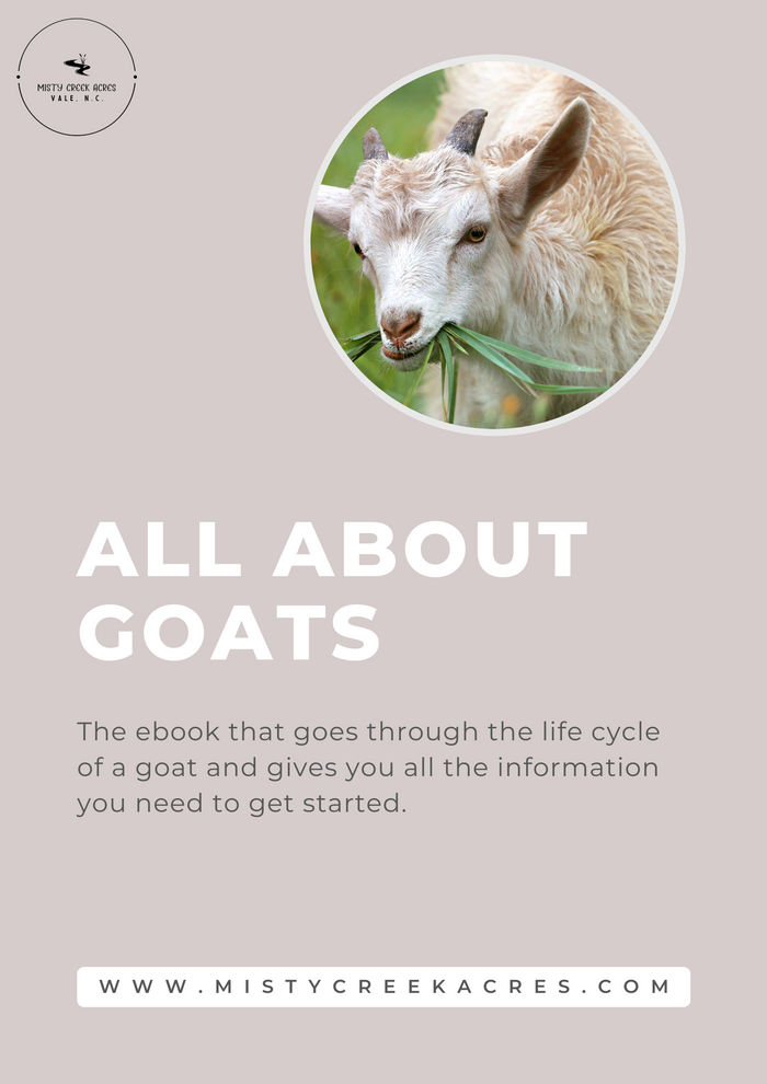 All about goats eBook, raising goats ebook, ebook on raising goats, guide on raising chickens and goats, homesteading guide, guide for new homesteader, guide to raising chickens, homesteading ebooks