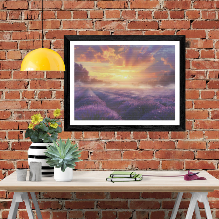 Lavender Farm at Sunrise