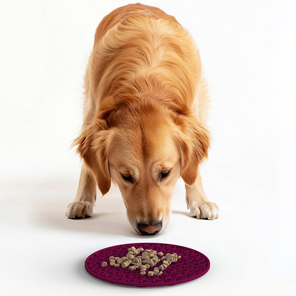 Lick Mat Coin Berry