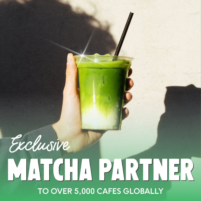 Matcha Variety Pack - PerfectTed -