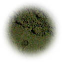 Mineral Eye Shadow - Forest