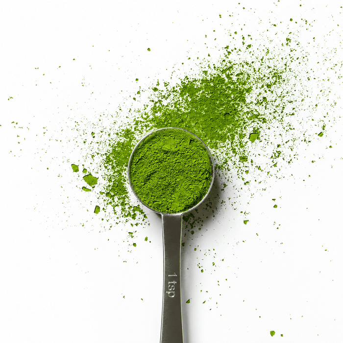 perfect scoop - PerfectTed - Teaware