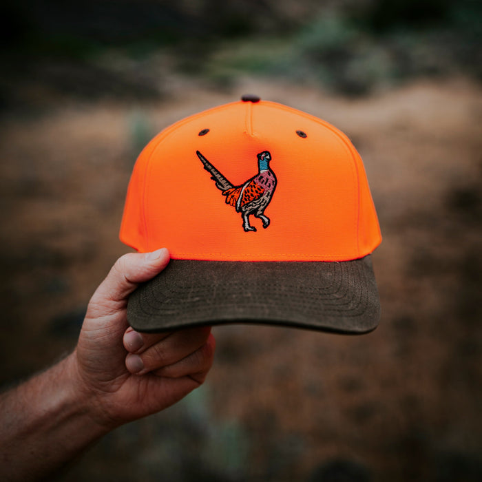 Pheasant Hat