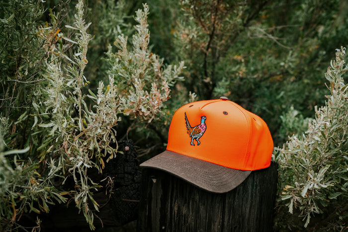 Pheasant Hat