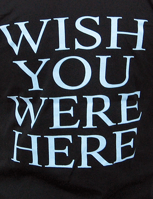 PINK FLOYD (Diver) Men's T-Shirt