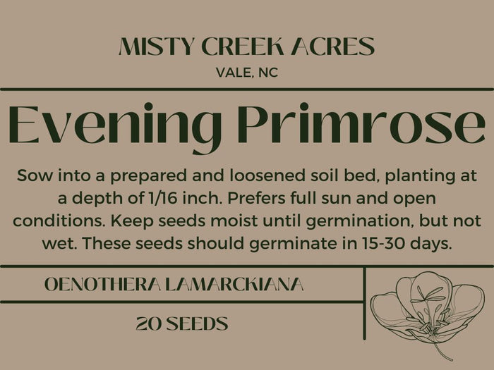 Evening Primrose seeds, premium evening primrose seeds, North Carolina homesteading seeds, homesteading seeds for beginners, Seeds for gardening, seeds for gardening, evening primrose seeds for gardening, small farm seeds, homestead items
