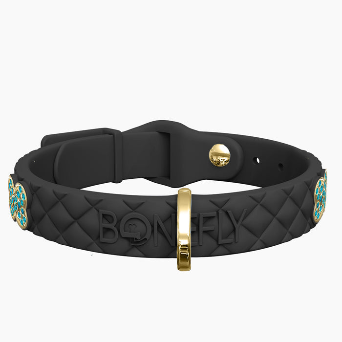 Gold/Aqua / XS