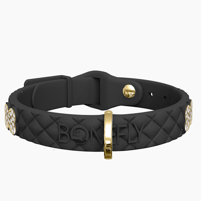 Gold/Clear / XS